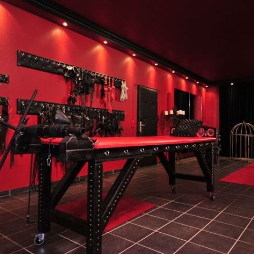 Galeriebild 5 von Kinky Revolution