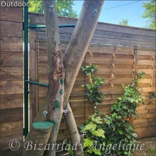 Galeriebild 2 von Privatstudio und Klinik