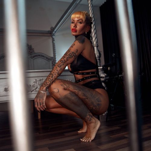 Galeriebild 2 von Mallory van Knox