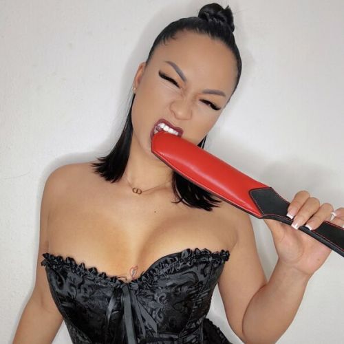 Galeriebild 2 von Lady Akita