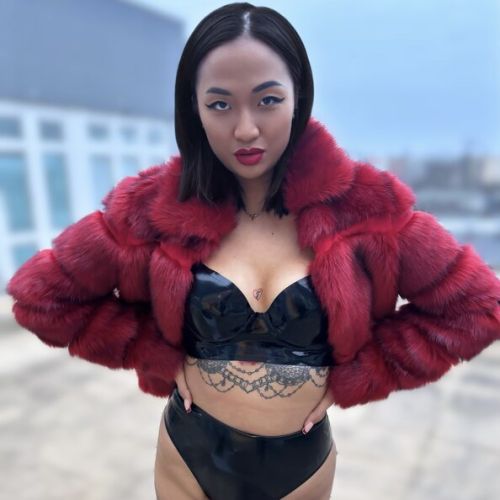 Galeriebild 1 von Lady Akita