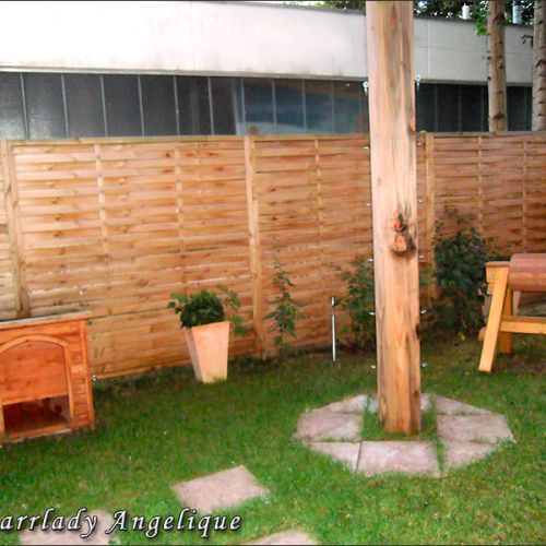 Galeriebild 11 von Privatstudio und Klinik