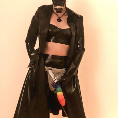 Galeriebild 27 von Velvet Divine