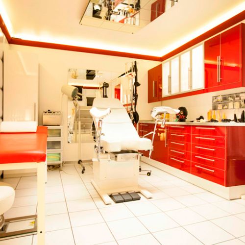 Galeriebild 10 von House Of Bizarre Dreams