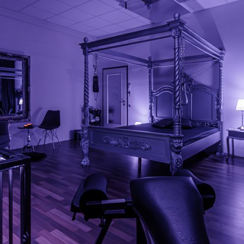 Galeriebild 7 von Atrium